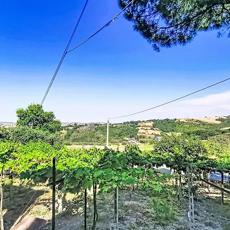 Il Casolare Di Campagna - Piano Terra By Interhome Apartment