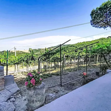 Apartment Il Casolare Di Campagna - Piano Terra By Interhome